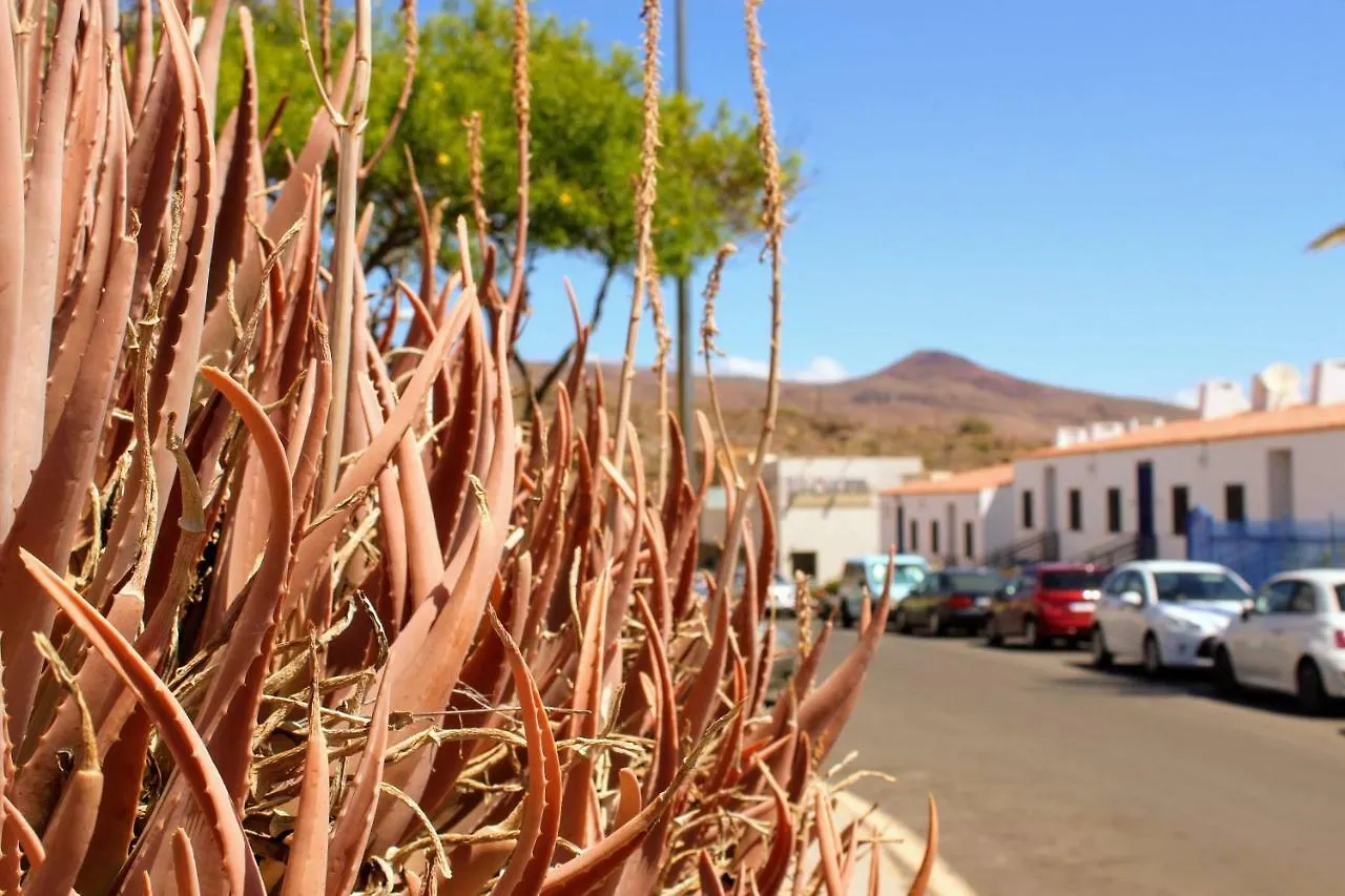 Bougainvillea Apartment Bamira Maspalomas